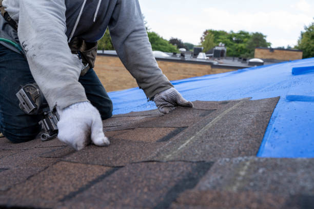 Best Gutter Installation and Roofing  in Alamo, TN