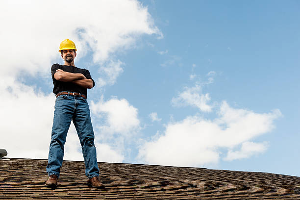 Best Storm Damage Roof Repair  in Alamo, TN