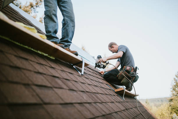 Quick and Trustworthy Emergency Roof Repair Services in Alamo, TN