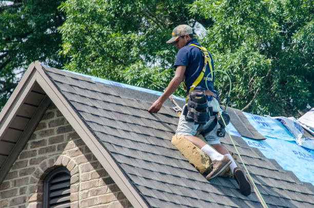 Best Local Roofing Companies  in Alamo, TN